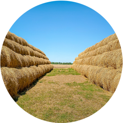 Агробизнес