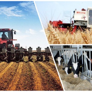 МСХ РК совершенствует механизмы господдержки АПК