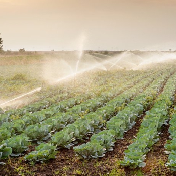 214 млрд тенге выделят в ближайшие три года на субсидирование внедрения водосберегающих технологий в АПК